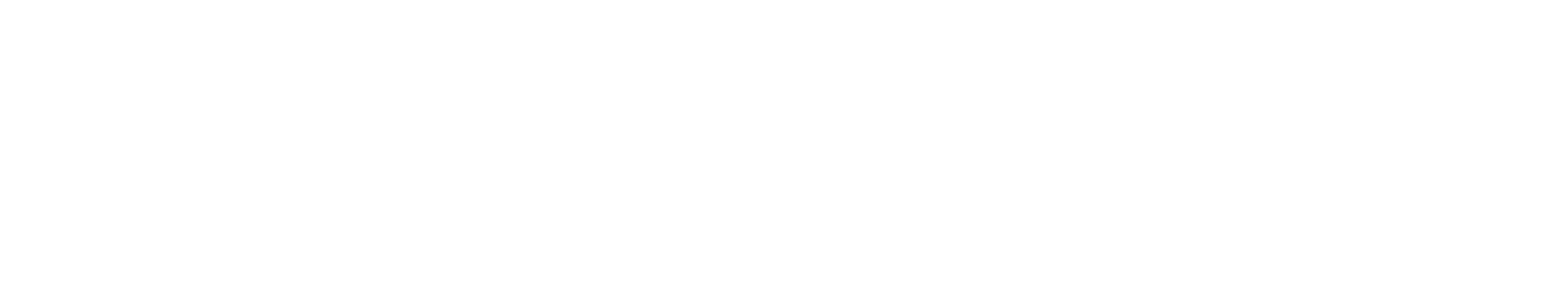 Private Flights Logo